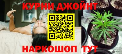 apvp Кимры
