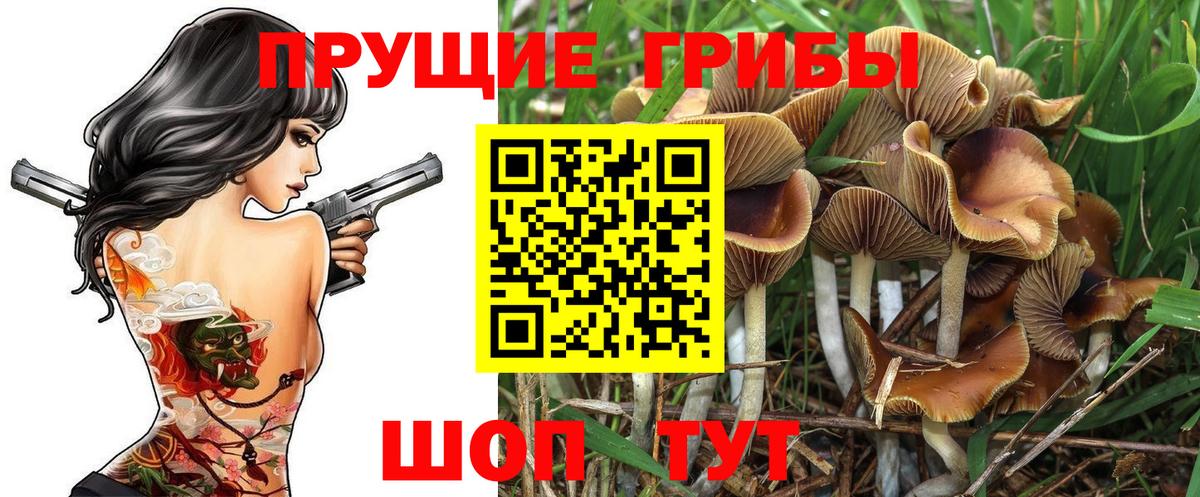 Псилоцибиновые грибы GOLDEN TEACHER  Вход с VPN  Псилоцибиновые грибы мицелий  Котовск 